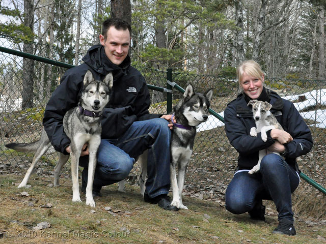 Diamond flyttar med Nicole och Michael (och en flock Sibirian Huskies till Danmark)