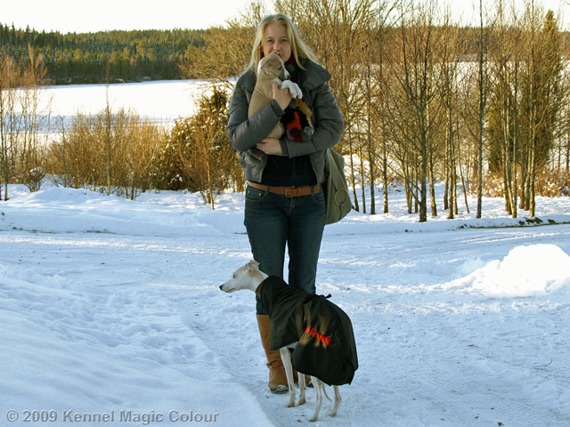 Ebba åker med&nbsp; Iben och whippetbror Jochum till Danmark