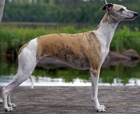 Carla