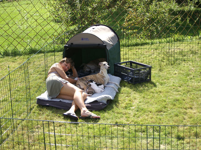 Stor och fin hundhaga - båda männsikor och hundar får plats