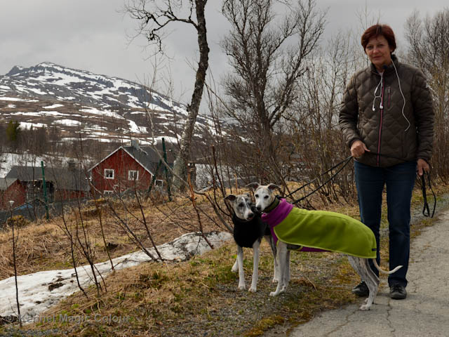 Sös och Chili