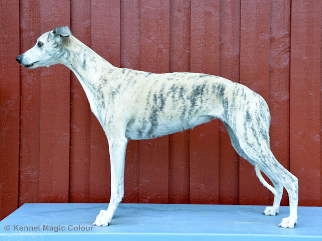Vecka 4